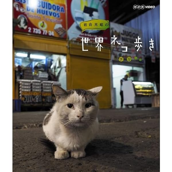 Amazon.co.jp: 岩合光昭の世界ネコ歩き 台湾 ブルーレイ【NHK